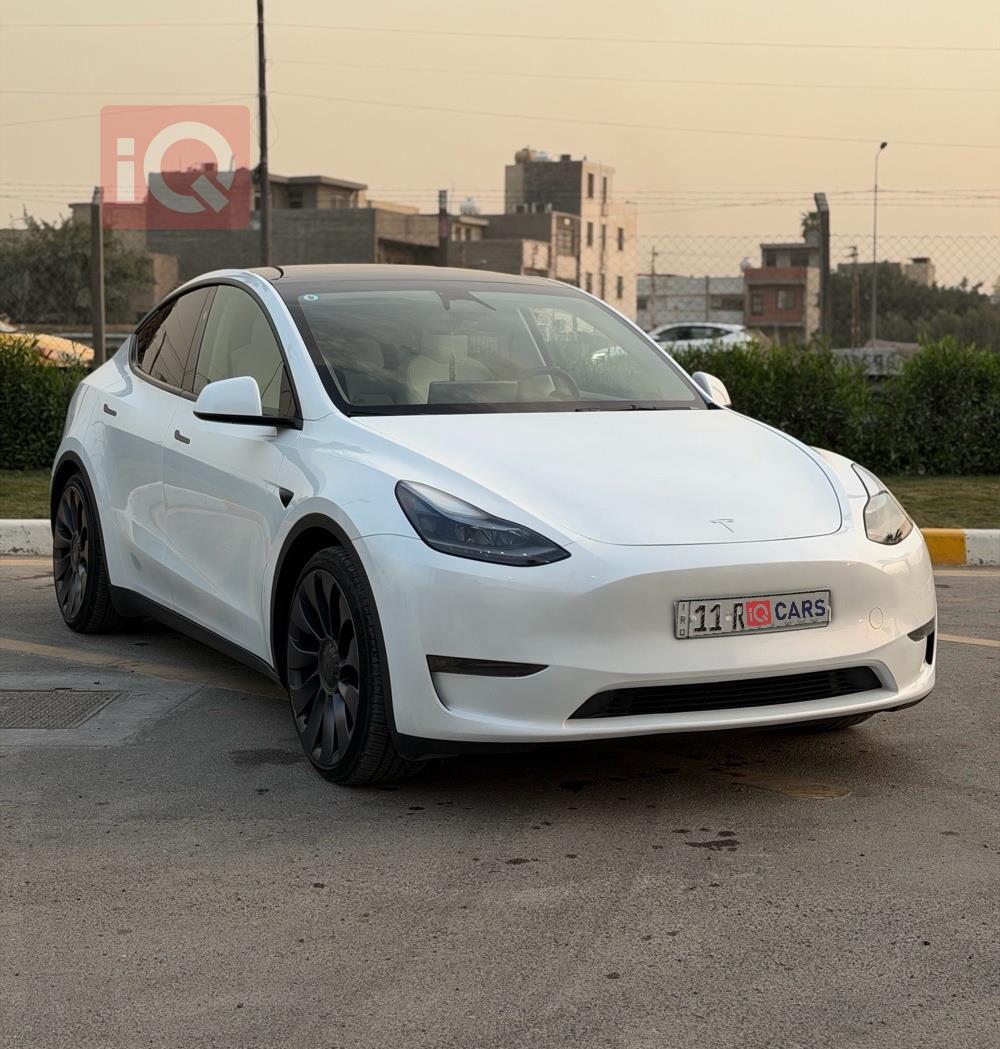 تسلا موديل Y